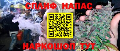 гидра Каменск-Шахтинский