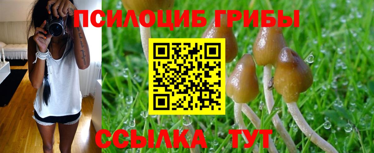 Галлюциногенные грибы мицелий Гуково